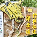 泰安一日遊
