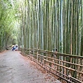 泰安一日遊