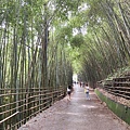 泰安一日遊