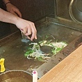 安格士牛排館樹林店