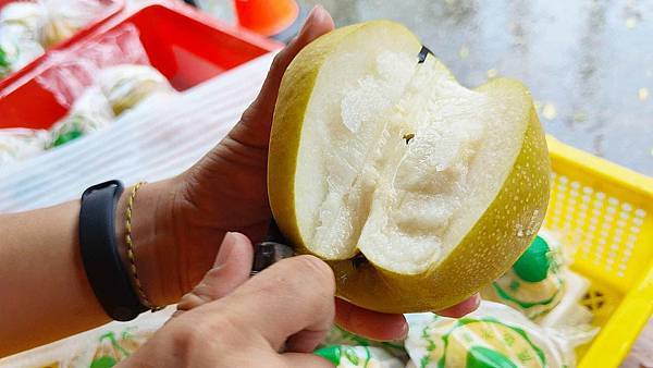 苗栗大湖尊梨季｜一切開會爆湯汁的新興梨，美味又好吃的水梨