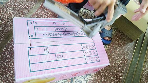 苗栗大湖尊梨季｜巨無霸水梨！比臉還要巨大，高達２.５斤的牛奶甘庶般美味的甘露梨