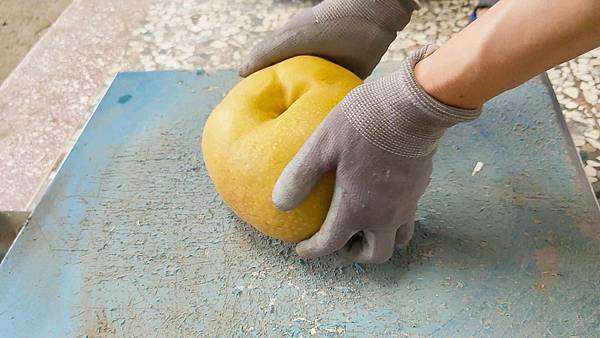 苗栗大湖尊梨季｜巨無霸水梨！比臉還要巨大，高達２.５斤的牛奶甘庶般美味的甘露梨