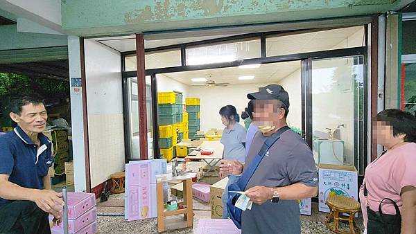 苗栗大湖尊梨季｜巨無霸水梨！比臉還要巨大，高達２.５斤的牛奶甘庶般美味的甘露梨