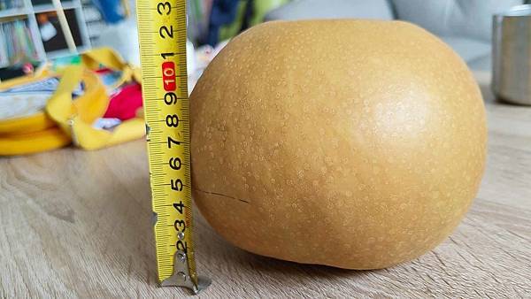 苗栗大湖尊梨季｜巨無霸水梨！比臉還要巨大，高達２.５斤的牛奶甘庶般美味的甘露梨