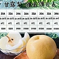 苗栗大湖尊梨季｜巨無霸水梨！比臉還要巨大，高達２.５斤的牛奶甘庶般美味的甘露梨