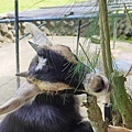 IMG20230917101658_03.jpg