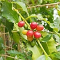 IMG20230917114618_01.jpg