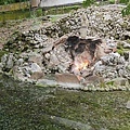 IMG20230917134245_01.jpg