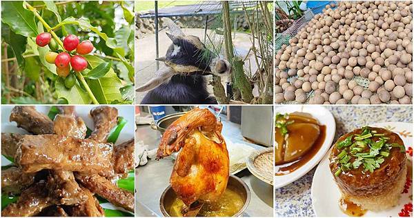 關子嶺親子一日遊 關子嶺親子一日遊