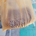 致理飯糰