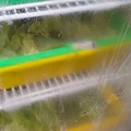 心心石頭火鍋
