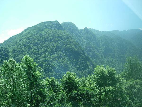 夏天，青山，森林