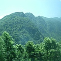 夏天，青山，森林