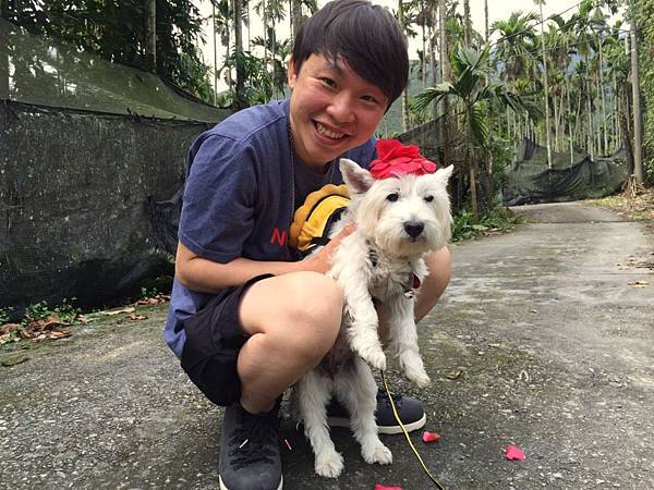 小Q 小Q