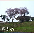 生活點滴 1052.jpg