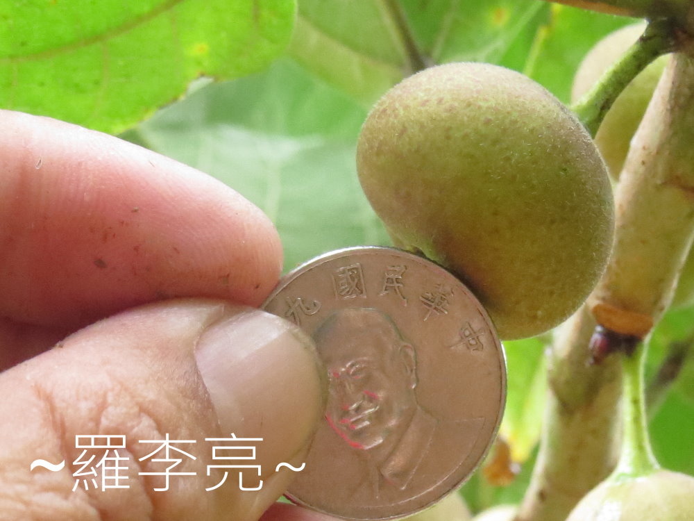 IMG_4897.JPG IMG_4897.JPG