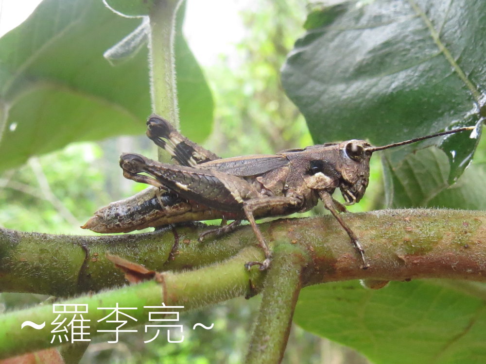 IMG_4900.JPG IMG_4900.JPG