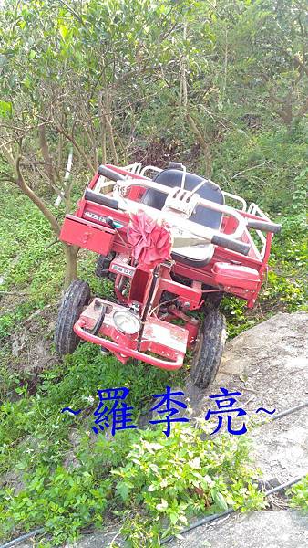 P_20151116_092818.jpg