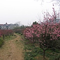 20120322_ (196)