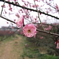 20120322_ (198)