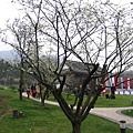 20120322_ (202)