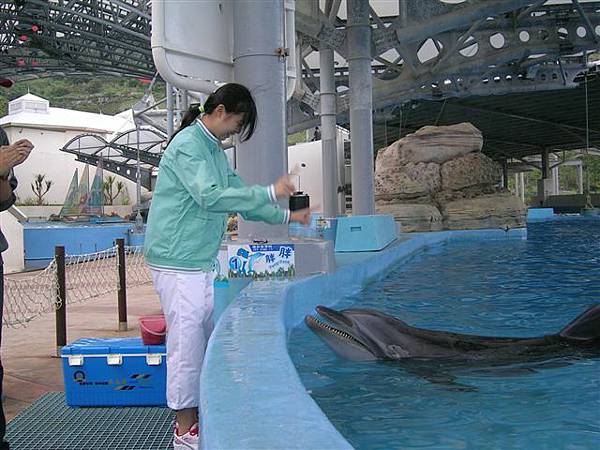 047海豚互動餵食.jpg