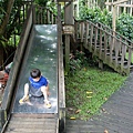 DSC03541.JPG