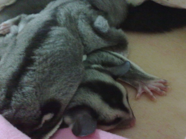20090717733.jpg 20090717733.jpg