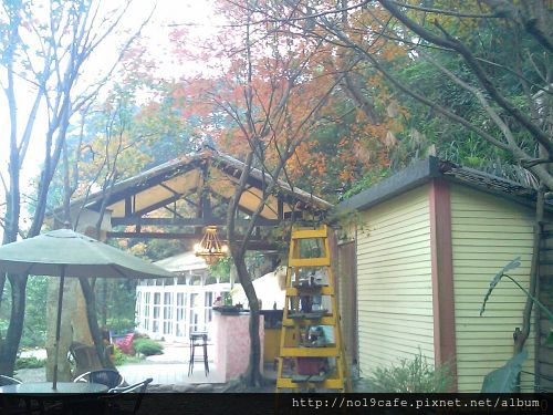 IMAGE_118(001).jpg