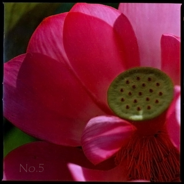 980715_F18.jpg