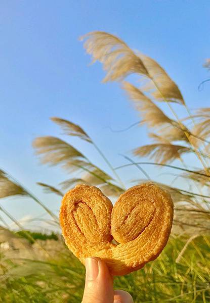 蘆葦蝴蝶酥.jpg 蘆葦蝴蝶酥.jpg