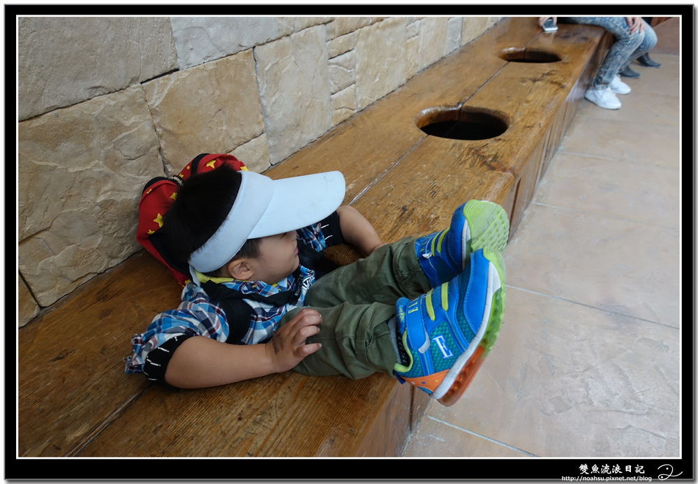 DSC03391.jpg DSC03391.jpg