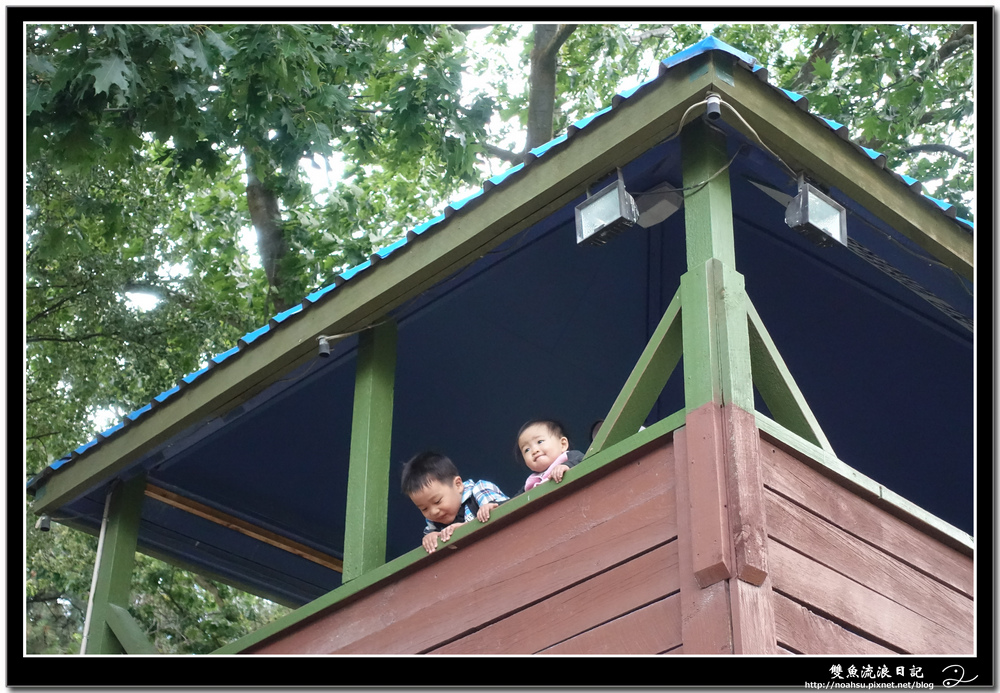 DSC03435.jpg DSC03435.jpg