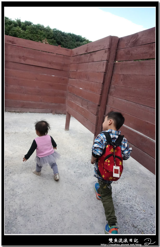 DSC03410.jpg DSC03410.jpg