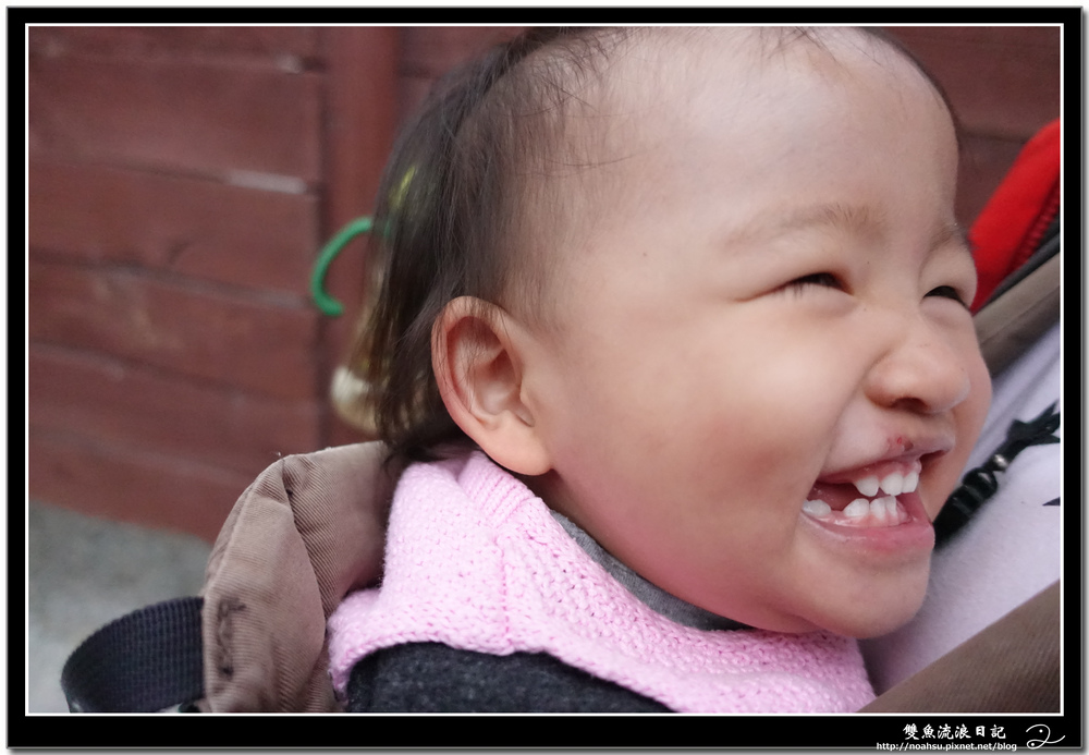 DSC03450.jpg DSC03450.jpg