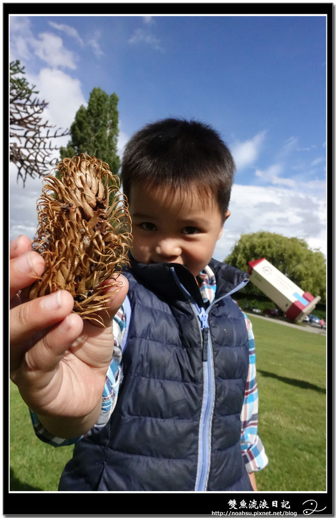 DSC03576.jpg DSC03576.jpg