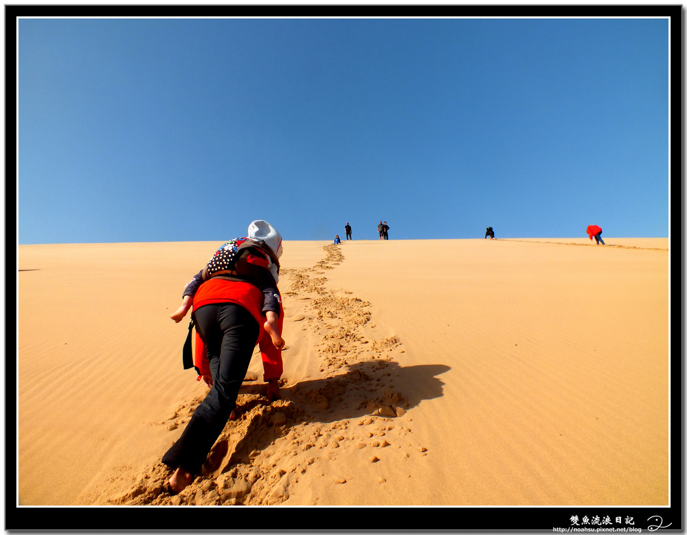 2 背嫩嫩DSCF6118.JPG 2 背嫩嫩DSCF6118.JPG