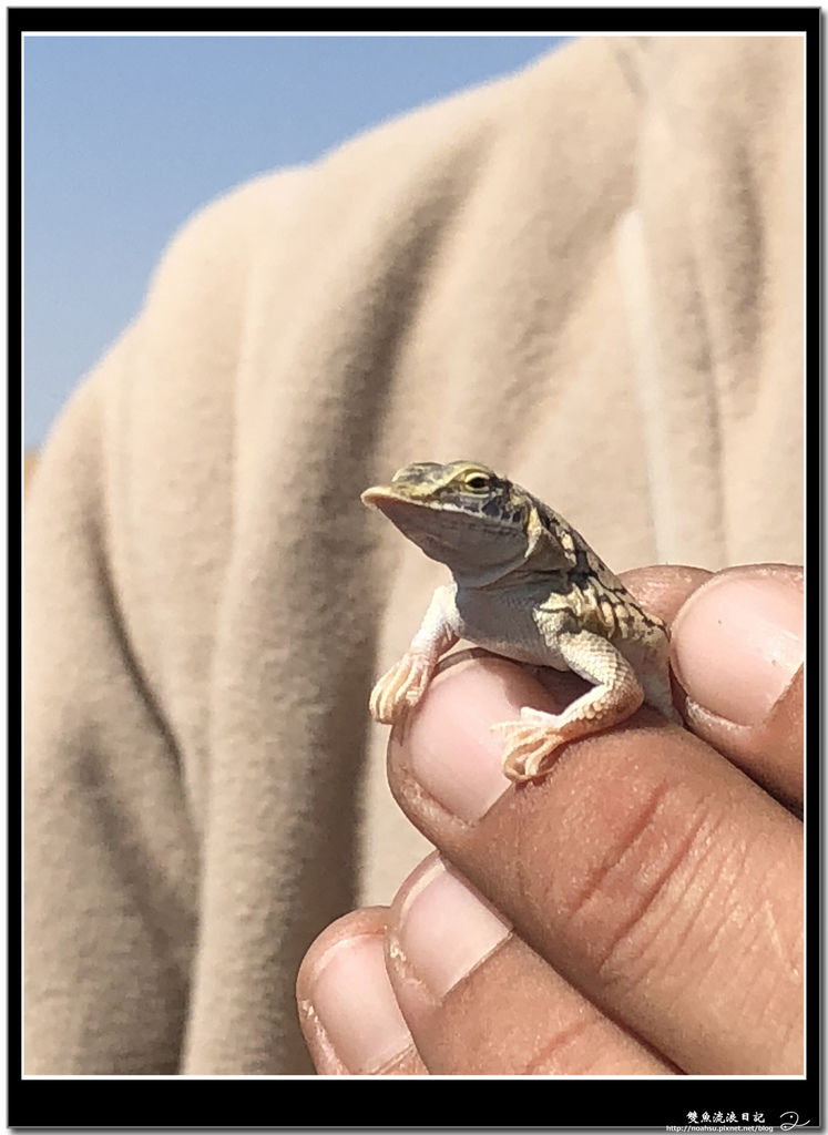 IMG_7609.jpg IMG_7609.jpg