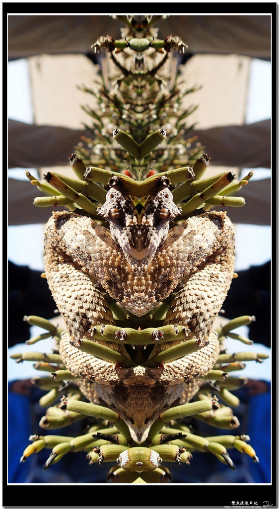 P6240249.jpg P6240249.jpg