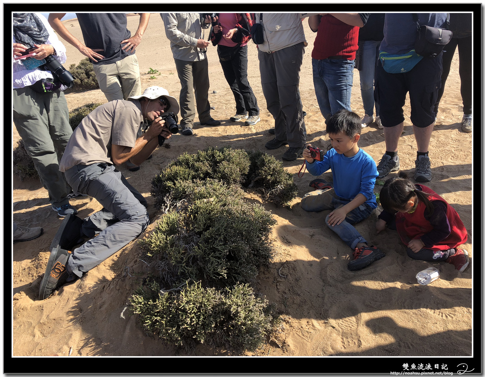 IMG_7555.JPG IMG_7555.JPG