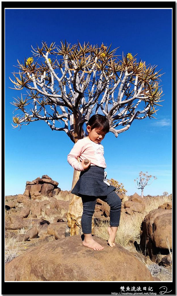 37680752_2250330538315095_2393002528603111424_n.jpg 37680752_2250330538315095_2393002528603111424_n.jpg