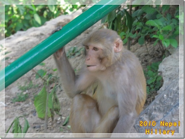 IMG_8336 IMG_8336
