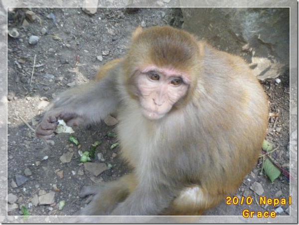 DSCF1752 DSCF1752