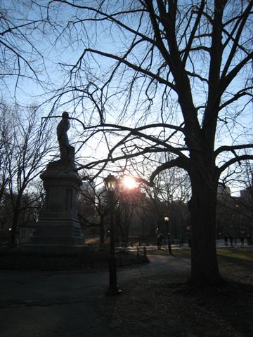 Central Park11