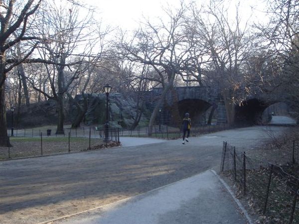 Central Park14