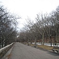 riverside park II