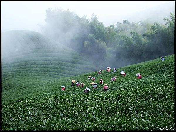 家鄉的景色