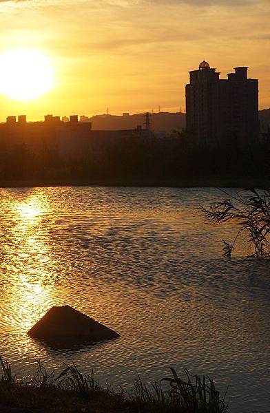 P9148589 P9148589