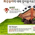 火山泥-水洗面膜-廣告2.jpg